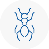 Ant Removals In South West London