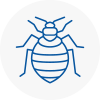 Bed Bug Extermination In South West London