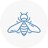 Bee Nest Removal South West London