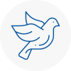 Bird Prevention South West London