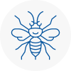 South West London Hornet Nest Removals