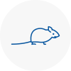 Mice Exterminators In South West London