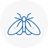 Moth Control Specialists In South West London