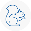 South West London Rodent Removals